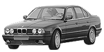 BMW E34 P1495 Fault Code